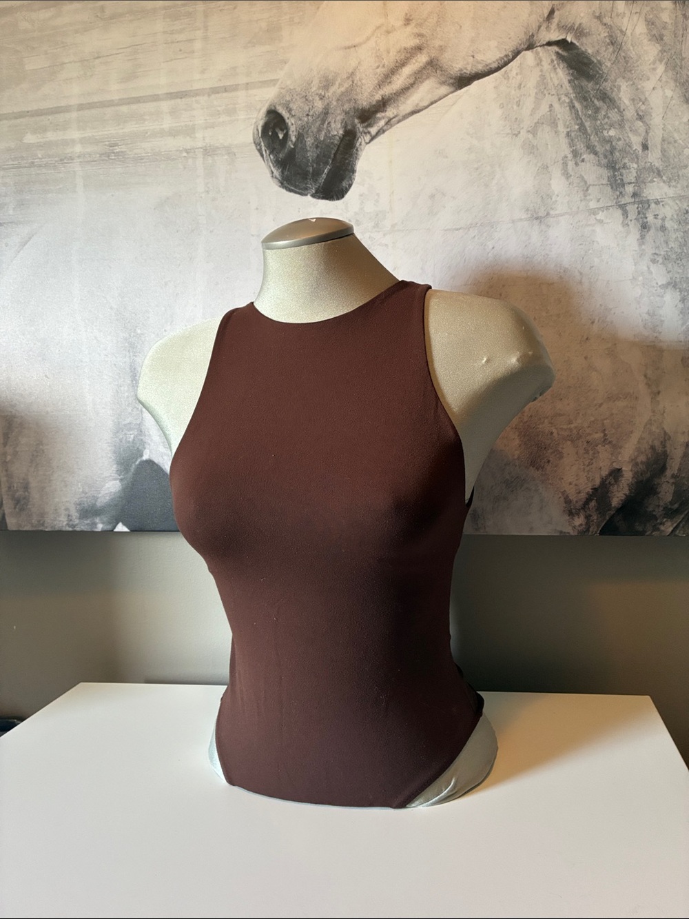 ZARA Women’s Brown Sleeveless BODYSUIT